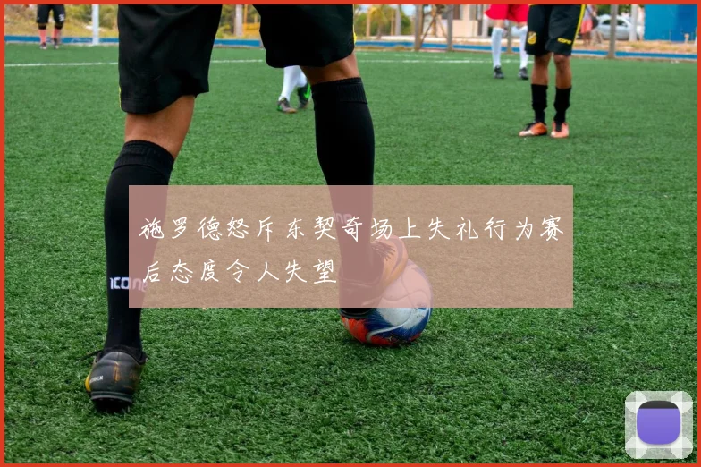 施罗德怒斥东契奇场上失礼行为赛后态度令人失望