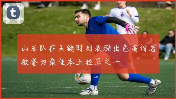 山东队在关键时刻表现出色高诗岩被誉为最佳本土控卫之一